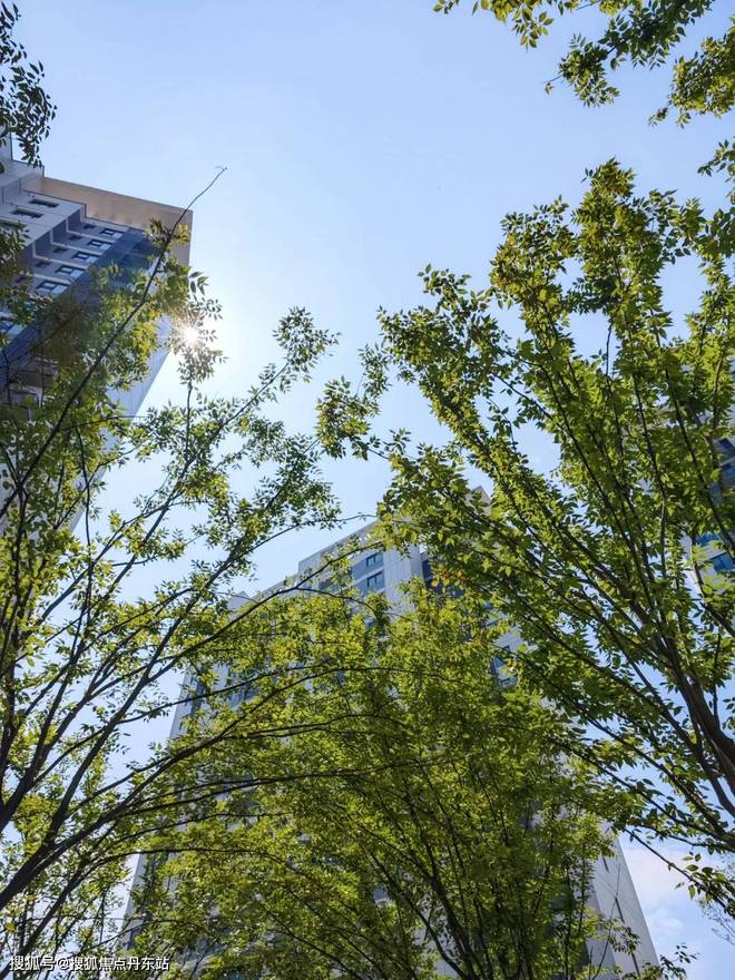 中建玖海云天（2024）网站-中建玖海云天楼盘详情-上海房天下(图8)