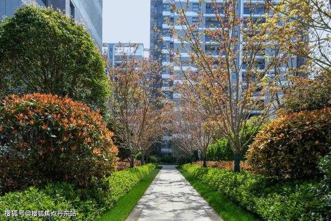 中建玖海云天（2024）网站-中建玖海云天楼盘详情-上海房天下(图10)