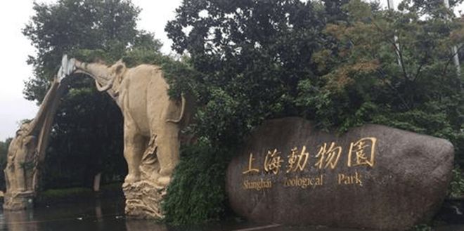 ʚɞ青溪云邸售楼处发布：青溪云邸售楼中心引领品质生活！(图16)