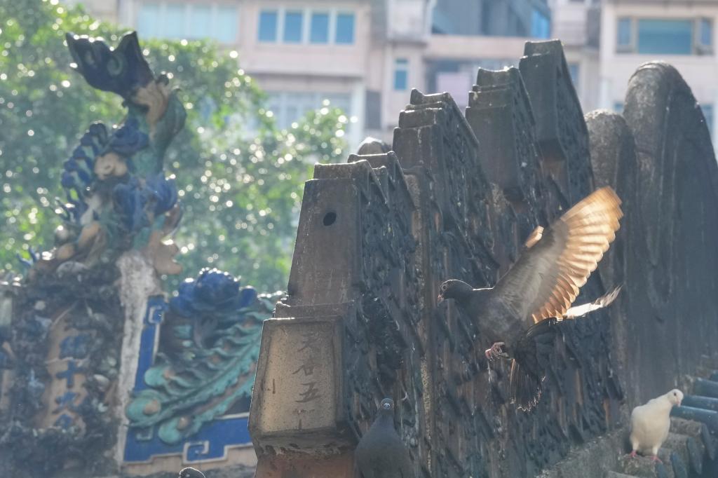 全运·文化丨开幕式上那条“大鱼”是何来历你知道吗(图5)