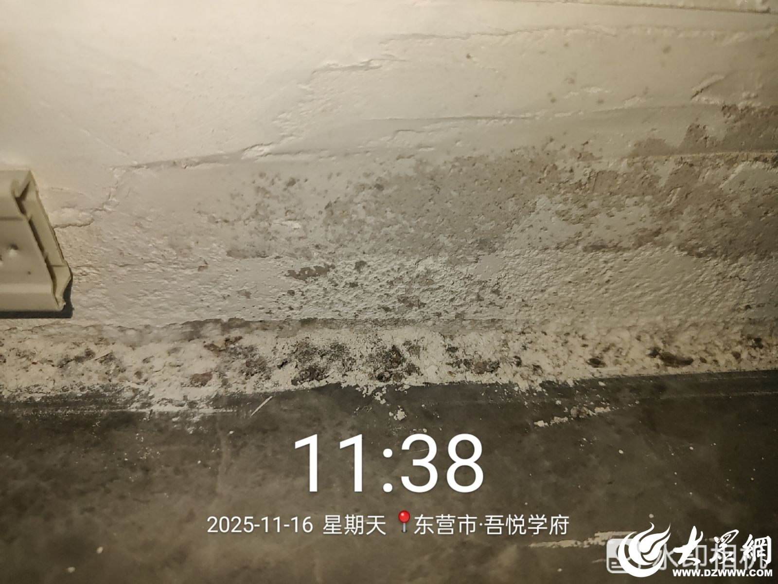众点关注“赠送”的装修成了“心病”？东营吾悦学府新房交付逾期墙面反复“长毛”业主苦等三月难入住(图3)