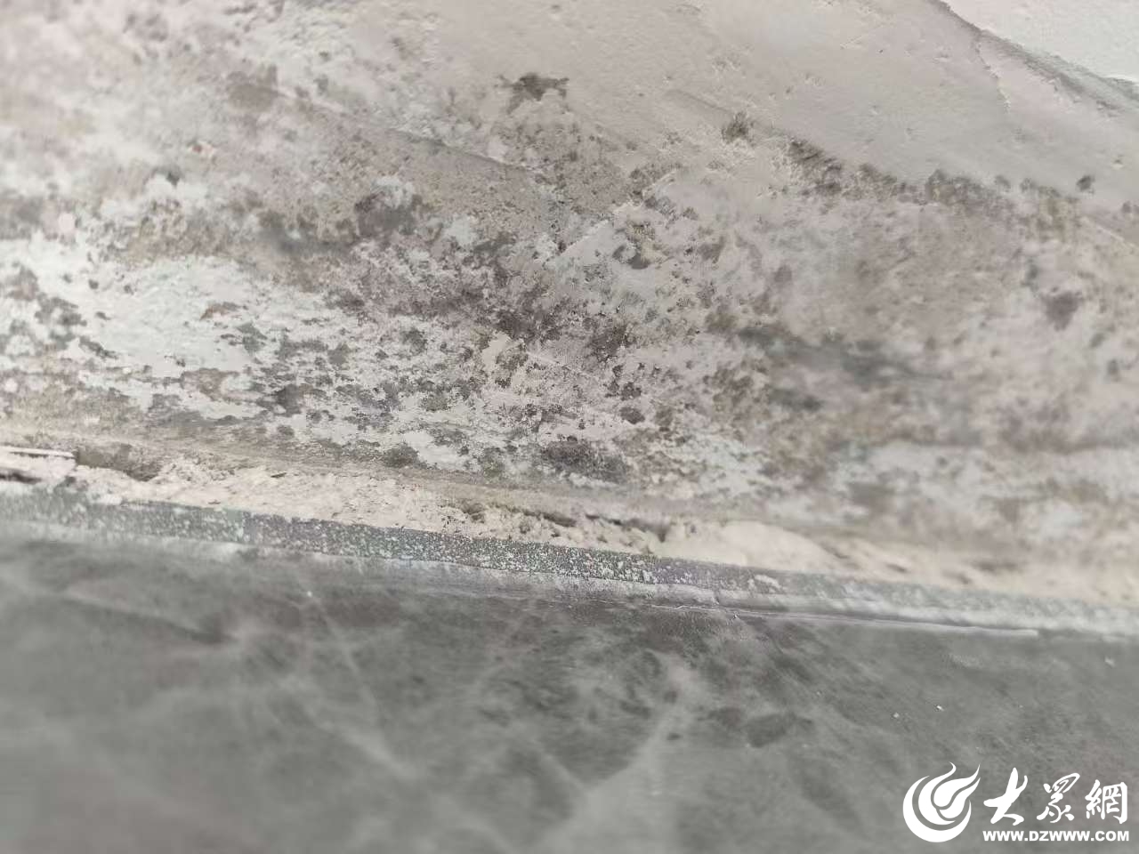 众点关注“赠送”的装修成了“心病”？东营吾悦学府新房交付逾期墙面反复“长毛”业主苦等三月难入住(图4)