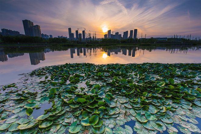 龙湖砚熙台→环境→价值分析→特价房→装修效果图(图4)