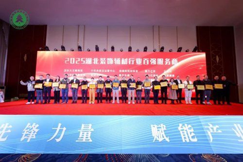 载誉前行赋能新质丨千年舟亮相2025湖北装饰辅材高质量发展大会(图3)