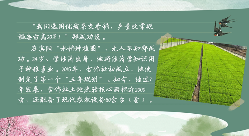 春耕时节我们在行动_光明网(图12)