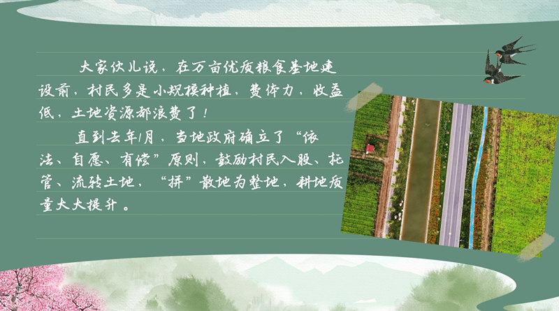 春耕时节我们在行动_光明网(图31)