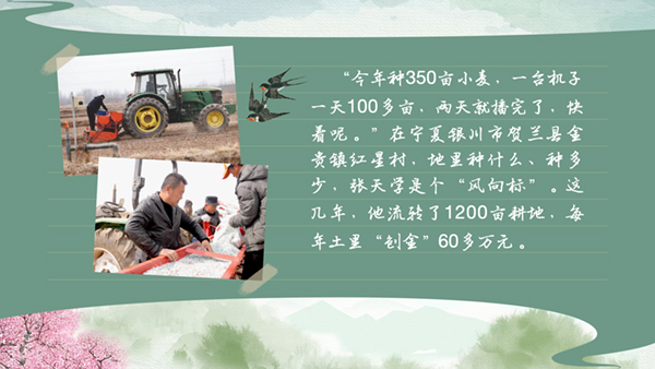 春耕时节我们在行动_光明网(图25)