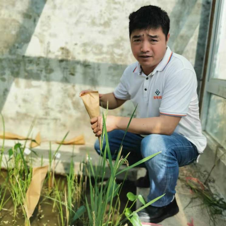 春耕时节我们在行动_光明网(图22)