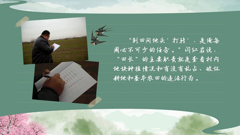 春耕时节我们在行动_光明网(图44)