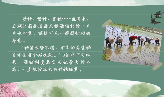 春耕时节我们在行动_光明网(图1)