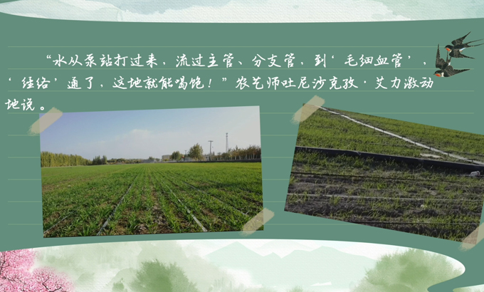 春耕时节我们在行动_光明网(图7)