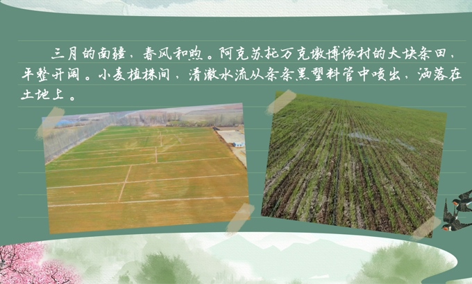 春耕时节我们在行动_光明网(图6)