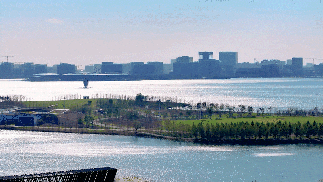 《金融湾·晶优劣势全透视:六边形战士也有软肋这类人请慎入(图5)