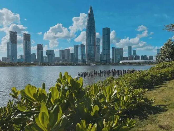 臻藏深圳湾一号售楼处发布：打造深圳湾理想顶豪生活！(图18)